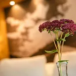 Hotel Landhaus